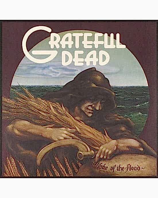 Grateful Dead – Wake Of The Flood (LP) Plak (Sıfır - Kapalı Ambalaj)