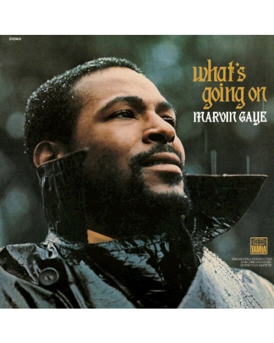 Marvin Gaye – What's Going On (LP) Plak (Sıfır - Kapalı Ambalaj)