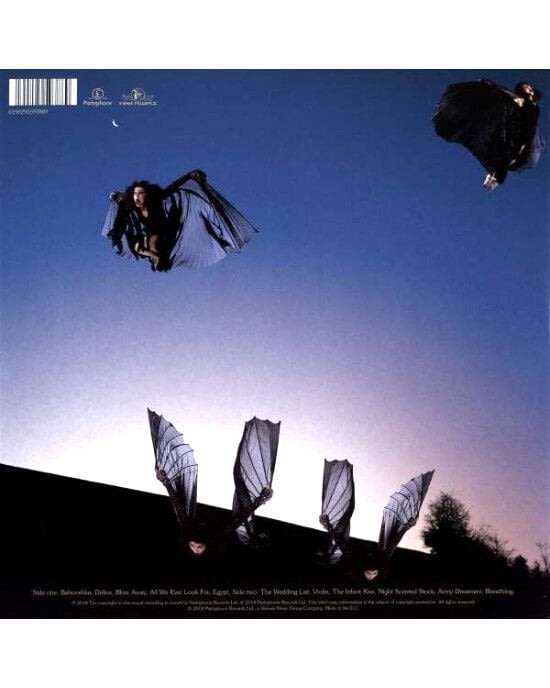 Kate Bush – Never For Ever (LP) Plak (Sıfır - Kapalı Ambalaj)